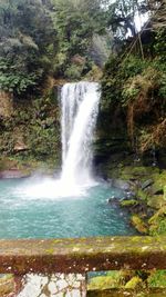 Scenic view of waterfall in forest