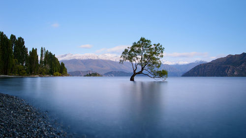 Scenic view of lake by trees against blue sky