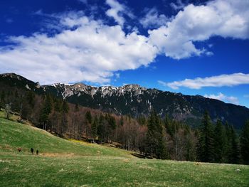 Scenic view of field against sky