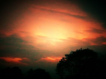 Silhouette of tree against cloudy sky