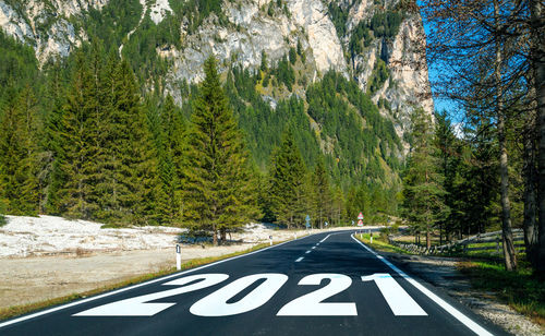 Road passing through forest