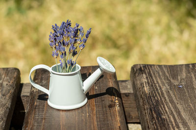 Bouquet of purple lavender flowers, in a white decorative watering can on a wooden background. 