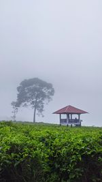 Gazebo by building against sky