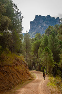 Man walking on road amidst trees against mountain