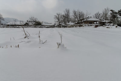 Bare trees on snow covered landscape