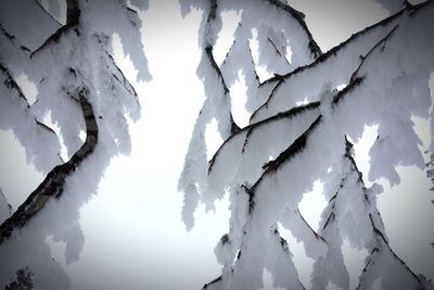 Close-up of frozen landscape against sky