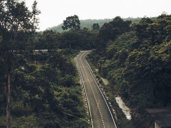 High angle view of road amidst trees in forest