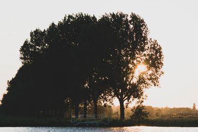 Silhouette tree by lake against sky during sunset