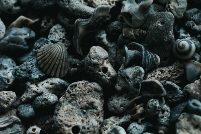 Full frame shot of beautiful black sea stones and seashells abstract pattern texture background.