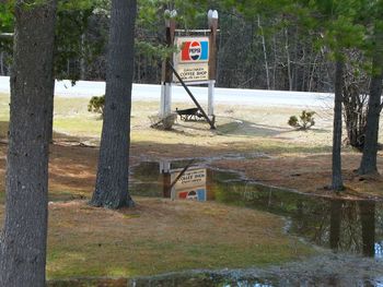 Road sign by trees