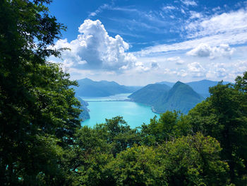 Scenic view of forest against sky