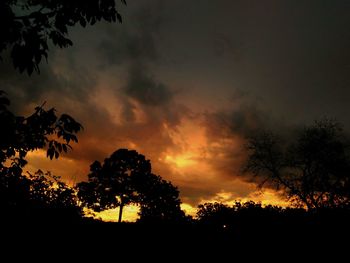 Silhouette trees against sky during sunset