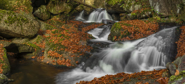 Scenic view of waterfall in forest