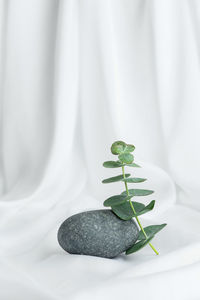 Background of white silk, stone and eucalyptus leaves
