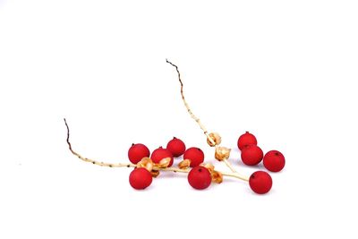 Close-up of cherries against white background