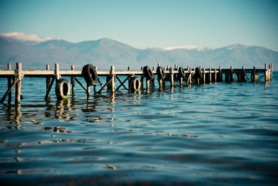 Horses in water against sky