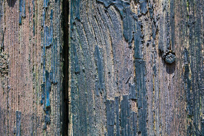 Full frame shot of wooden wall