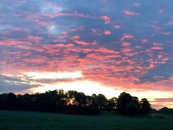 Silhouette trees on field against sky during sunset