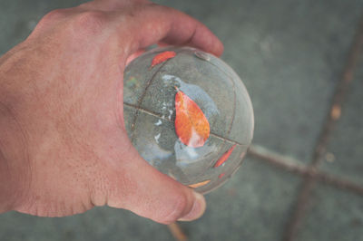 Close-up of person holding leaf