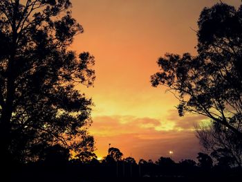 Low angle view of silhouette trees against romantic sky