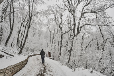 Rear view of people on snow covered land