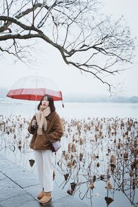 High angle view of woman standing by bare tree during winter