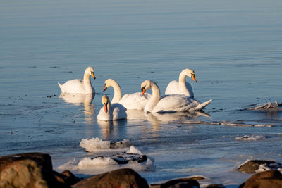 Views at rossö nature reserve