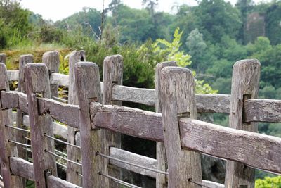 Close-up of gate against trees