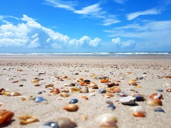 Surface level of pebble beach against sky