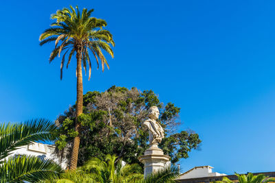 Palm trees against clear blue sky