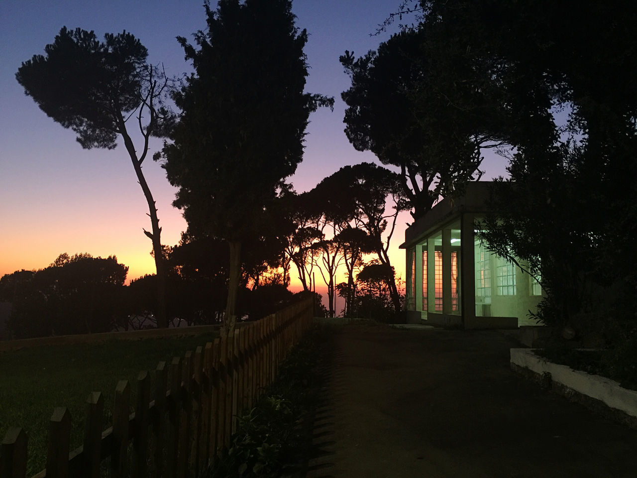 SILHOUETTE TREES BY FOOTPATH AGAINST SKY AT NIGHT