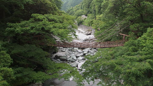 High angle view of waterfall amidst trees in forest