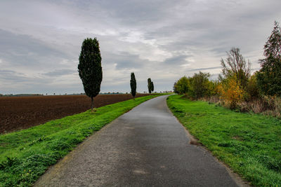 Road amidst trees on field against sky