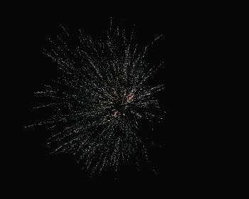 Low angle view of firework display at night