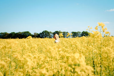 Woman with yellow flowers in field against clear sky