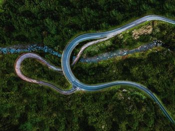 High angle view of winding road in forest