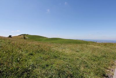 Scenic view of grassy field against cloudy sky