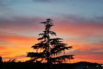 Low angle view of silhouette tree against sky during sunset