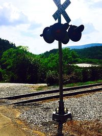 Trees against cloudy sky