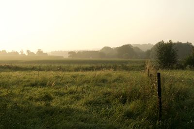 Tranquil morning sun in the belgian countryside 
