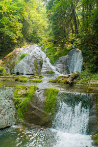 Scenic view of waterfall in forest