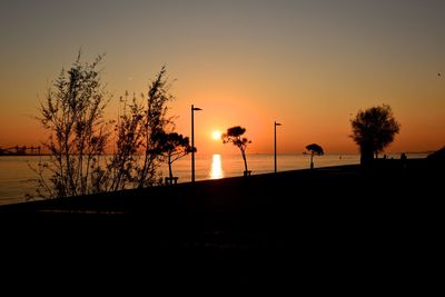 Silhouette of trees at sunset