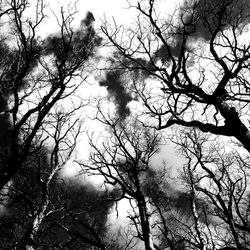 Low angle view of silhouette bare trees against sky
