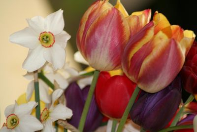 Close-up of flowers