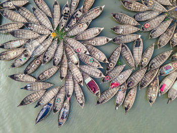 High angle view of pine cones on table