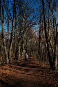 Rear view of man walking on bare trees in forest