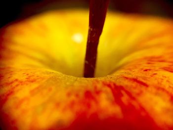 Macro shot of flower