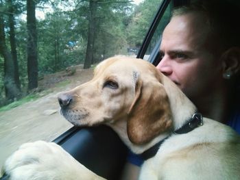 Close-up of man and dog looking through window while traveling in car