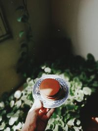 High angle view of hand holding glass