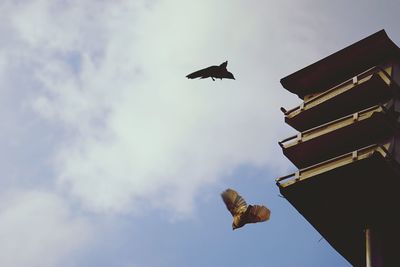 Low angle view of birds flying by birdhouse against sky